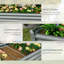 Planter-1174353361-1174353372