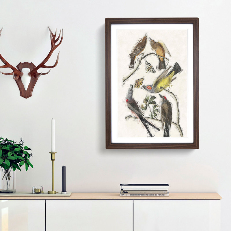 Flycatcher Birds by John Audubon - Picture Frame Painting Print, Walnut Framed, 48cm H x 36cm W x 2cm D