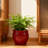 High quality ceramic flowerpot-57594643