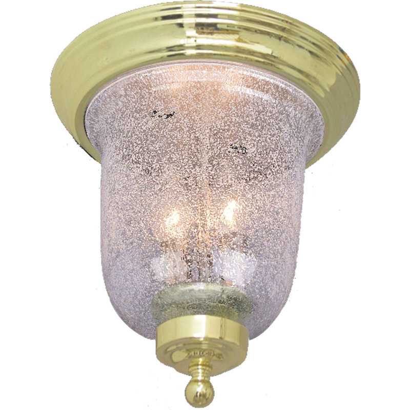 Lanark 2-Light Indoor Polished Brass Ceiling Mount Fixture with Clear Seedy Glass Bell Shade, Polished Brass