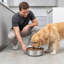 Pet Bowl