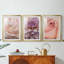 Doux pétales de fleurs I - reproduction sur mesure encadrée de qualité supérieure - 3 pièces-221404793-221404797