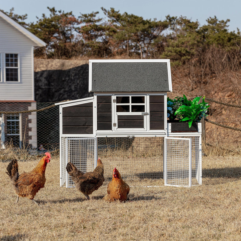 Exael Steel Frame Chicken Coop with Raised Bed Planter,  Black Panel/White Frame