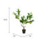 Citronnelle artificielle Peva 12 x 12 x 31,5 po avec verdure réaliste et pot noir