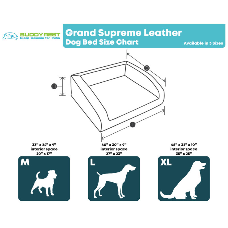 Lit orthopédique pour chien BuddyRest Grand Supreme - Mousse à mémoire de forme rafraîchissante de luxe, Moonbeam