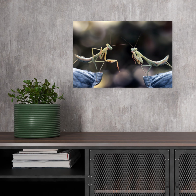 Praying Mantis Encounter Contemporary Wall Art Print by Fauzan Maududdin - Print, 30.48cm H x 45.72cm W