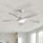 Damecia 52'' Ceiling Fan with LED Lights-297176344