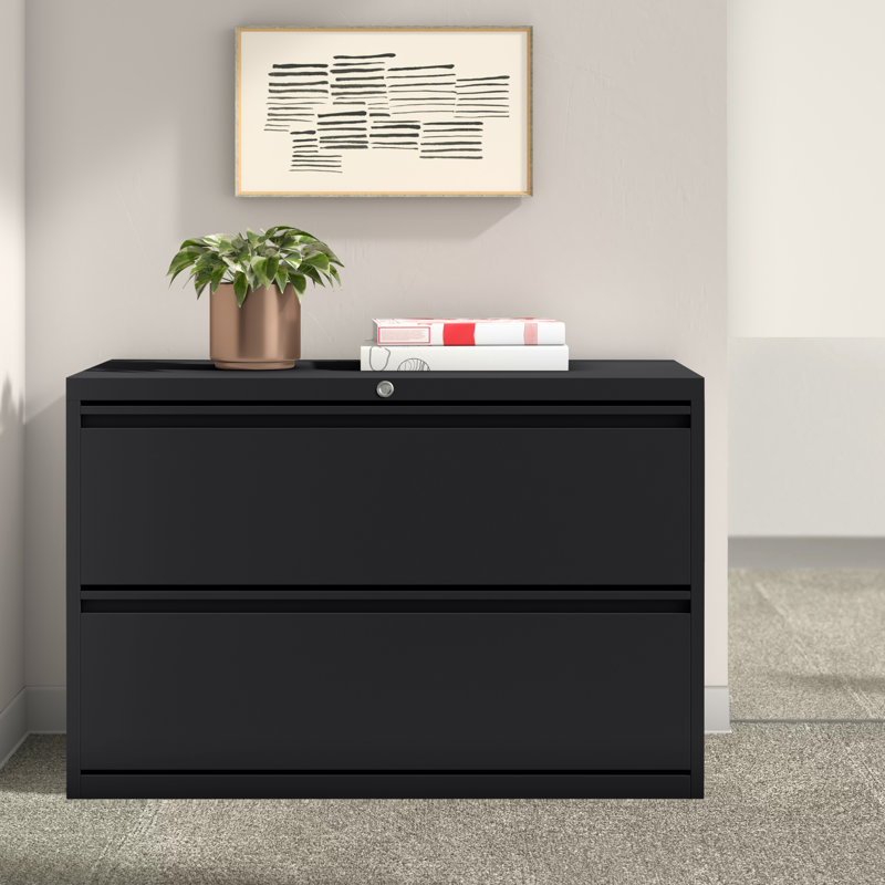 42'' Wide 2 -Drawer Steel File Cabinet, Black
