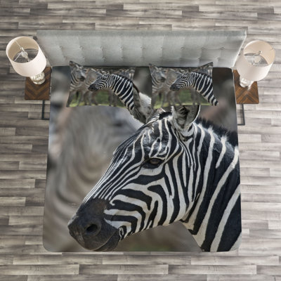 African Bedspread Set with Shams