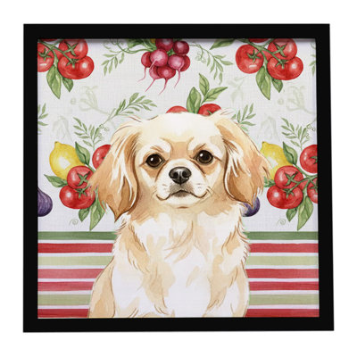 Cream Tibetan Spaniel Vegetables Framed Metal Print