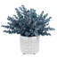 Faux plante d'eucalyptus en pot de ciment