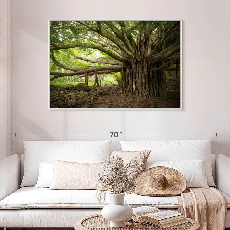 Banyan Tree, 46 po x 31 po, Cadre flottant blanc