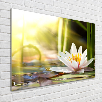 Water Lily - No Frame Print on Glass