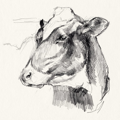 Holstein Portrait Sketch II 1 Piece Wrapped Canvas Painting
