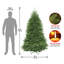 The Holiday Aisle® Dunhill Fir Tree-2087703339
