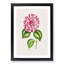 Pink Queen Victoria Camellia Illustration - Picture Frame Painting Print-55584072-55584073