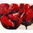 Red Tulips Closeup Placemat | Brown Floral Polyester Decor