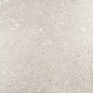 https://assets.wfcdn.com/im/49552844/resize-h300-w300%5Ecompr-r85/1509/150970405/Rizzo+2.0+Matte+Porcelain+24%22+x+24%22+Floor+and+Wall+Tile+%2811.62+Sq.+Ft.+%2F+Case%29.jpg