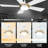 Amonnie 52'' Ceiling Fan with LED Lights-1365979911