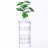 Rectangle Carbon Steel Metal Assembly 4-Shelf Storage Rack