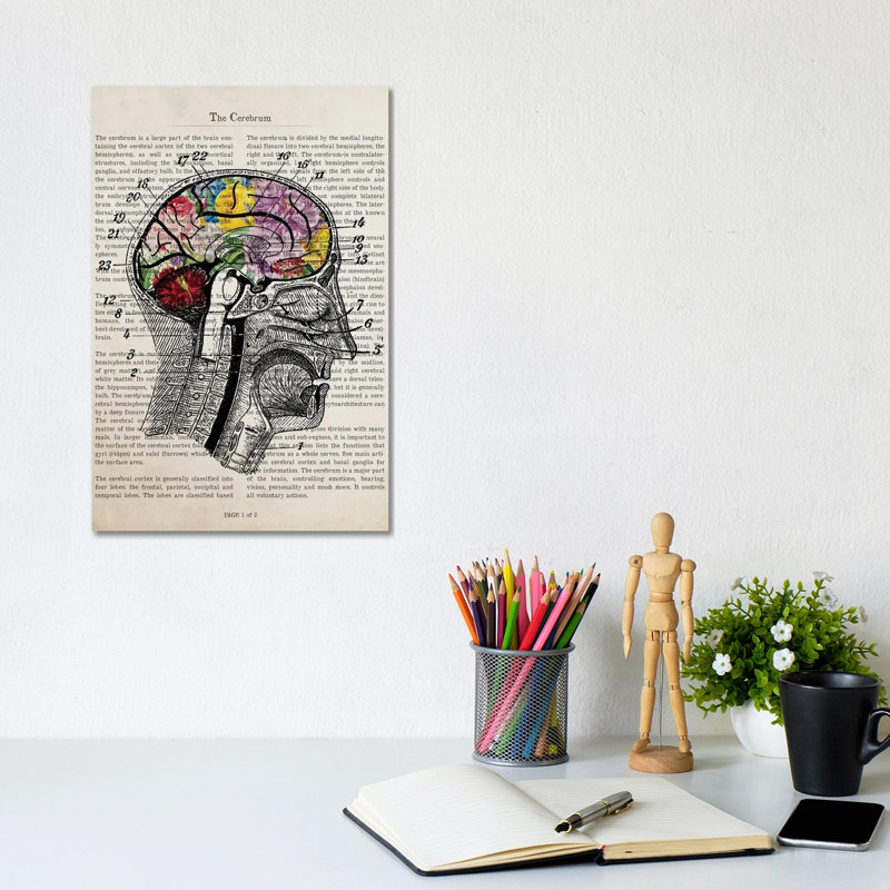 Brain Flower Collage Anatomy Print by Aged Pixel - Wrapped Canvas Print, 20.32 cm H x 30.48 cm W x 1.91 cm D