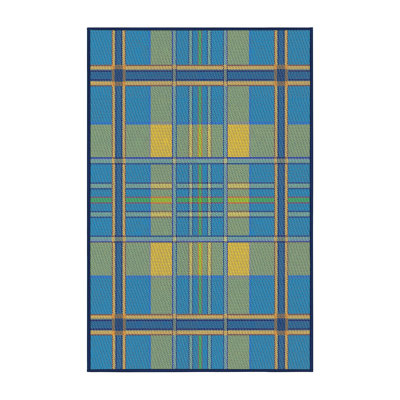 Indoor Rug