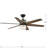 Carrollwood 56'' Ceiling Fan with LED Lights-102873427