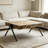 27.5'' W Solid Mango Wood and Iron Rectangular Coffee Table with V-Shaped Legs