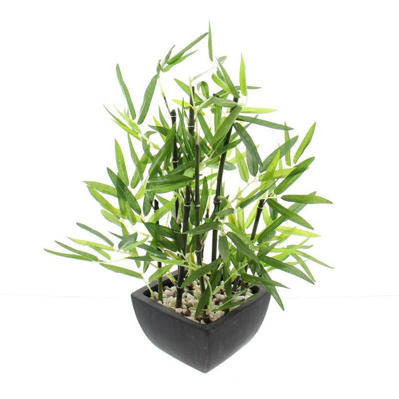 Faux bambou en pot