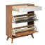 Brilon 12 Pair Shoe Storage Cabinet
