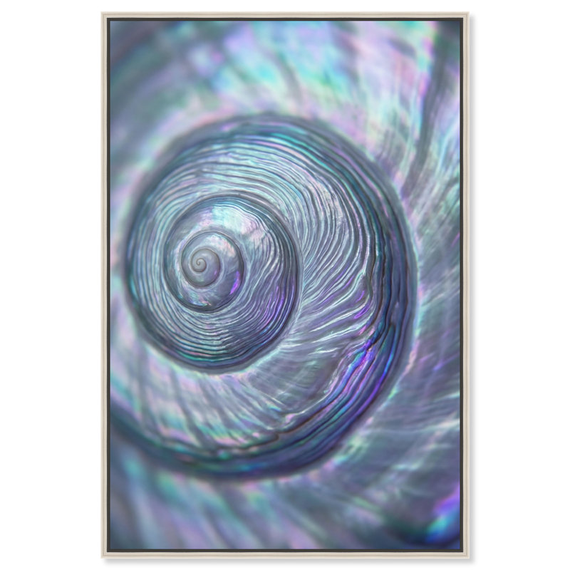 Sea Spiral Print by Oliver Gal, 55"H x 37"W, Silver Floater Frame