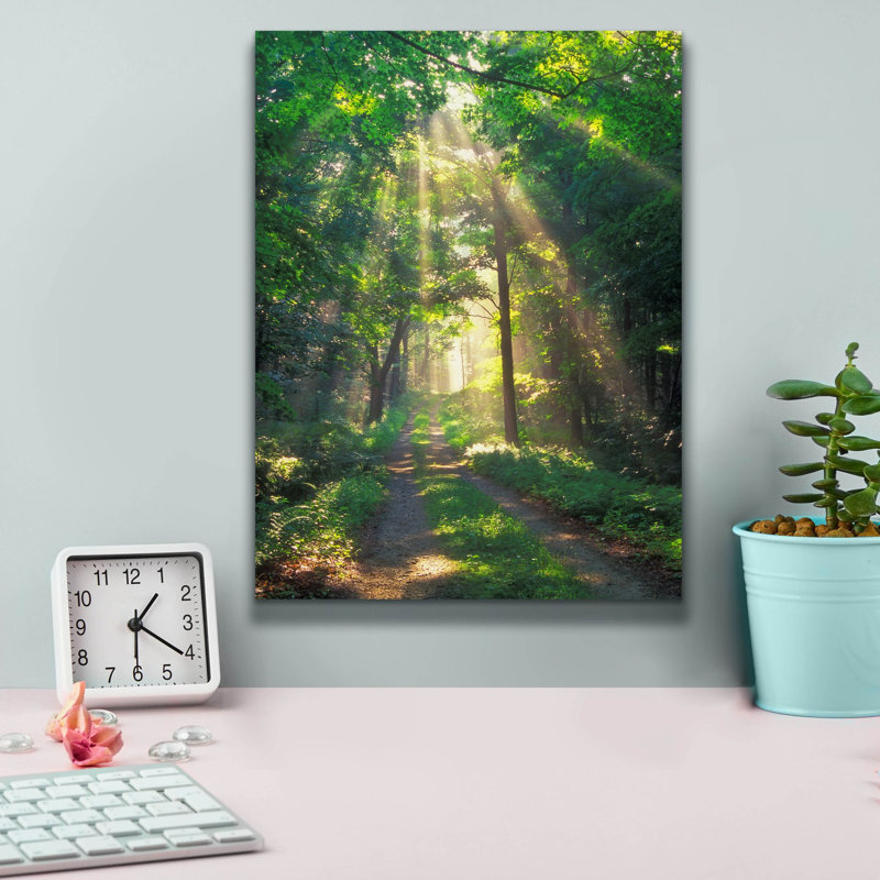 «Forest Sunshine» par Patrick Zephyr, art mural sur toile, H 16 po x l 12 po x P 0,75 po