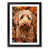 Black Framed selected