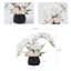 Roudy Arrangement-1752414517