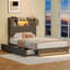 Upholstered Bed-1450193364