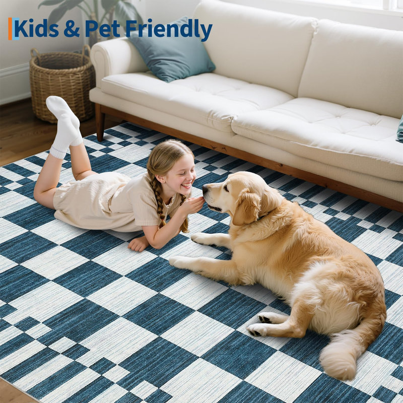 Checkered Rug for Living Room Washable Bedroom Rugs Non Slip Back Modern Classic Area Rug for Kids Boys Bedroom Home Decor Carpet for Dining Room Office