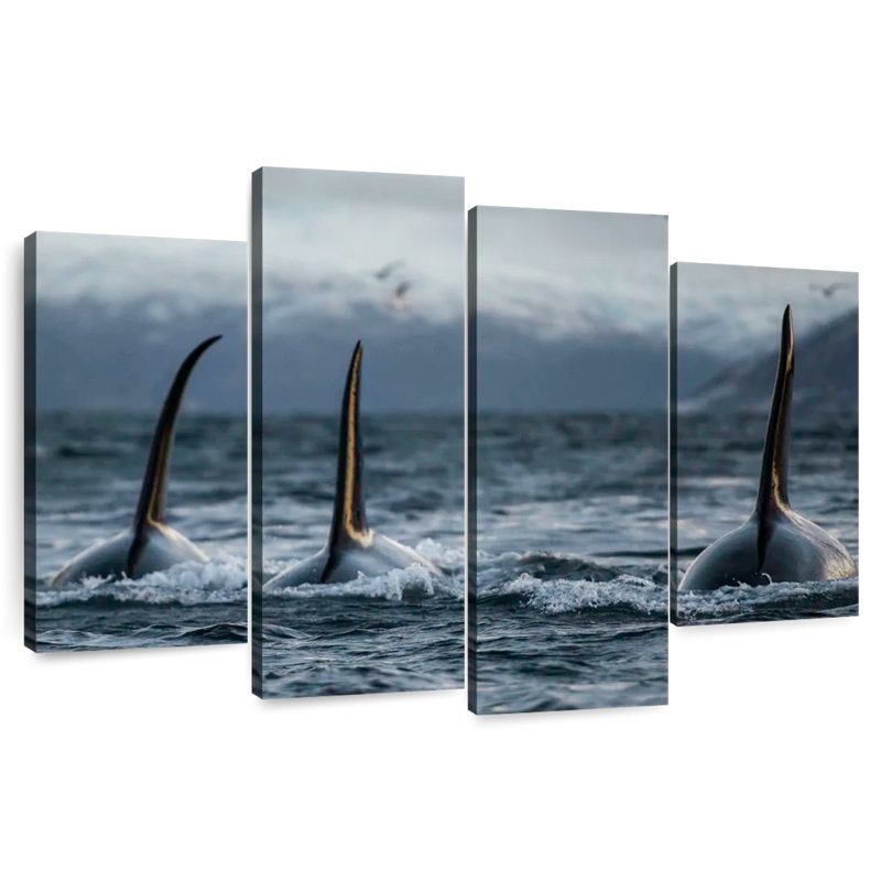 Brampt Norway Orca Trio, 54" H x 84" W