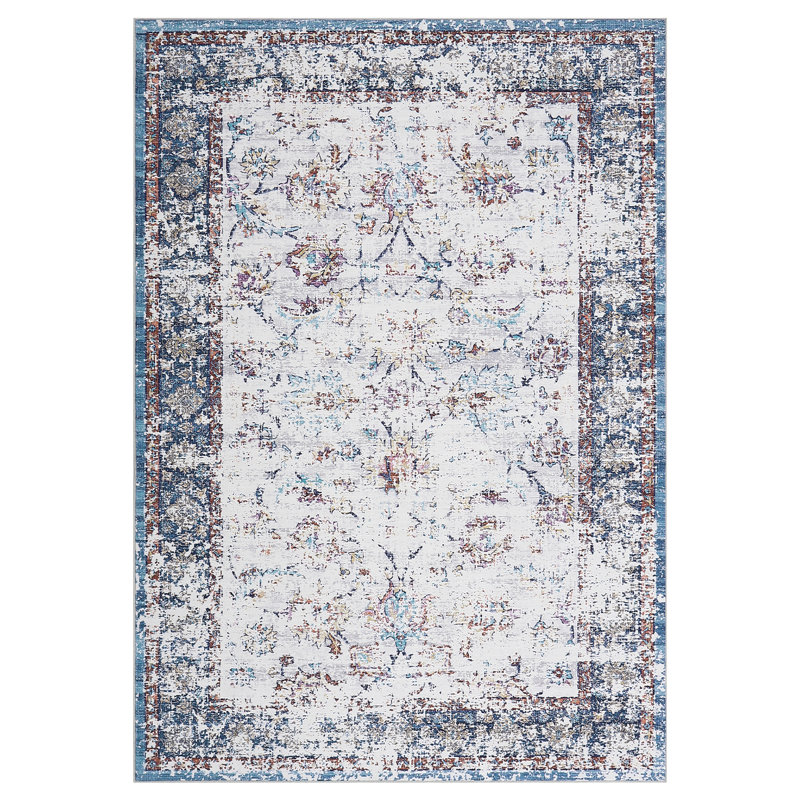 Vintage Area Rug Machine Washable Foldable Rug with Non Slip Carpet for Living Room Bedroom Dining Room, Clear