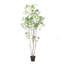 Pieris artificiel-1341383467