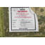 Tapis vert en coton 8 pi 0 po x 5 pi One-of-a-Kind