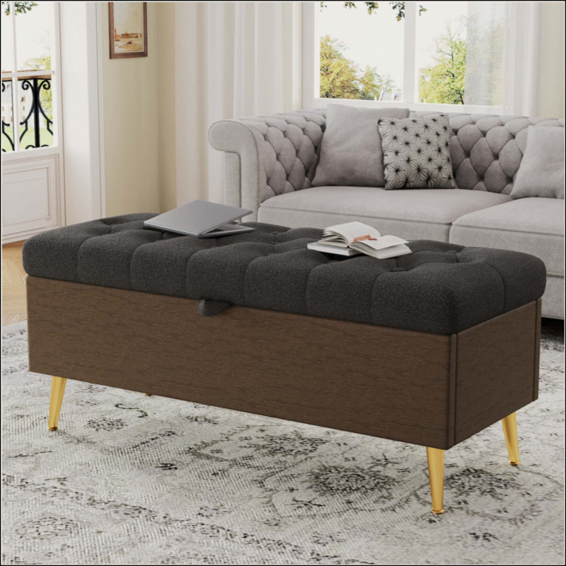 Banc de rangement avec repose-pieds Modern Modern, Grey, Gray