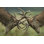 Deer Budding Antler par Jamie_Hall - Photographie sur toile tendue