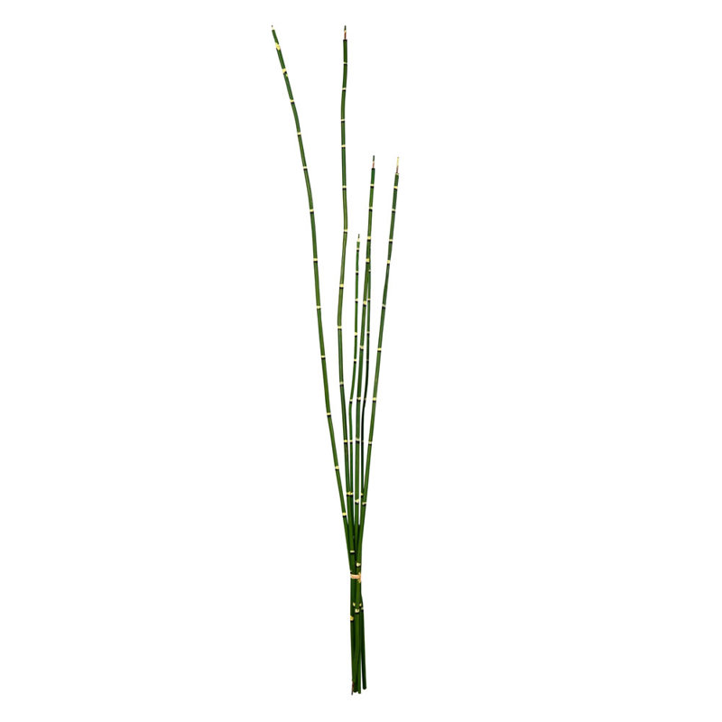 31'' Faux Horsetail Branch