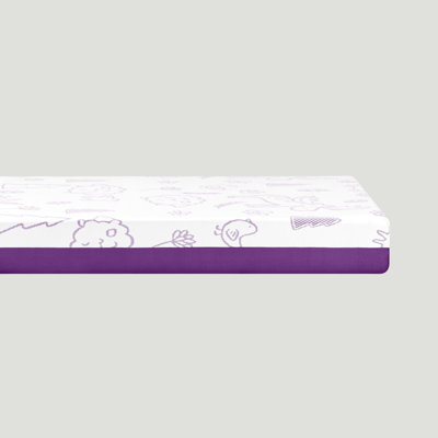 Fleeton Standard Crib/Toddler Rectangle Mattress