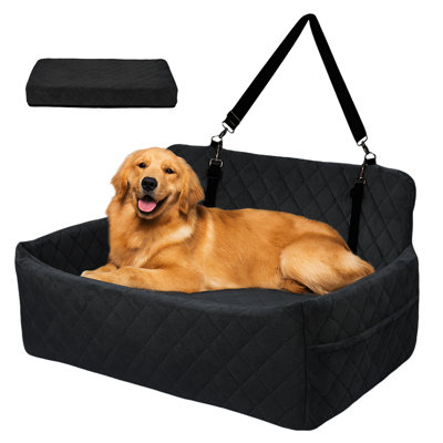 Dog House