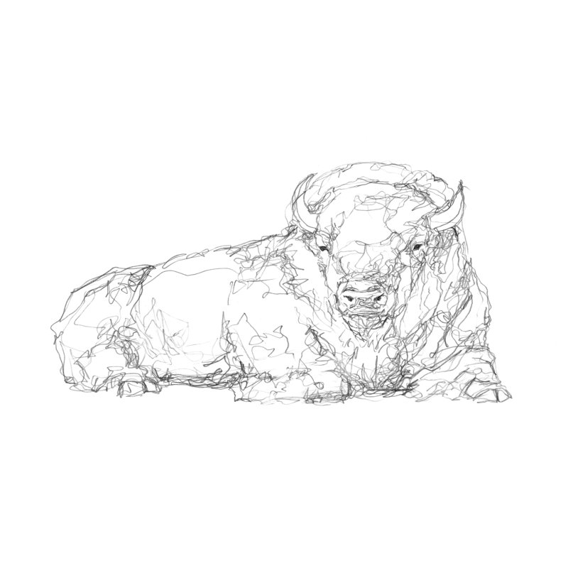 Bison Shape Sketch I by Ethan Harper - Painting on Canvas, 20cm H x 30cm W, Wrapped Canvas