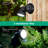 Matte Black Plug-in Integrated LED Metal Spotlight Pack