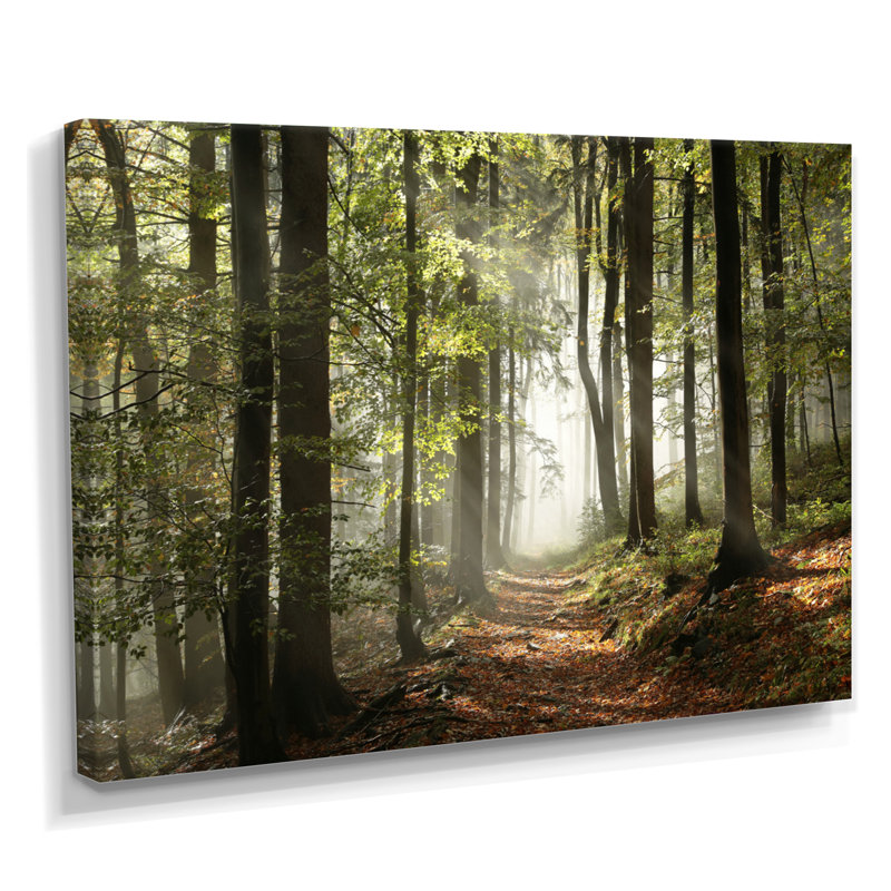«Green Fall Forest with Sun Rays - Forest», reproduction de photo, H 8 po x l 12 po, Toile tendue, Sans cadre