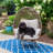 Rio Vista Swivel Egg Chair with Cushions