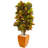 Croton Artificial Plant in Orange Planter